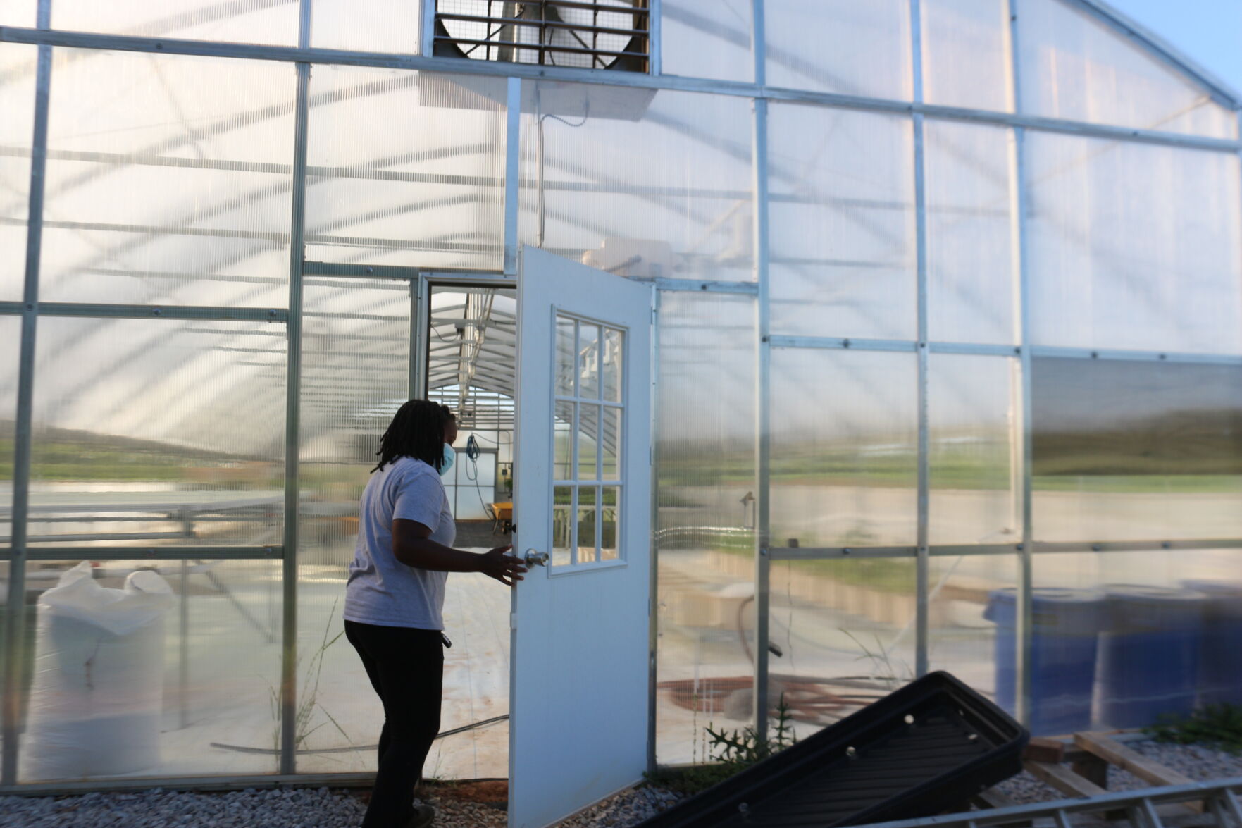 Dunning UGArden greenhouse